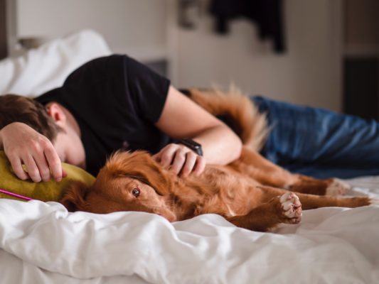 Person asleep on bed with dog.